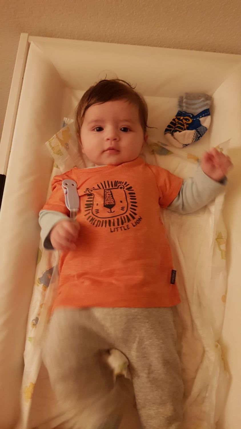 Aslan Leone Saiu in Spring 2025, aged six to eight months, image 1 of 8