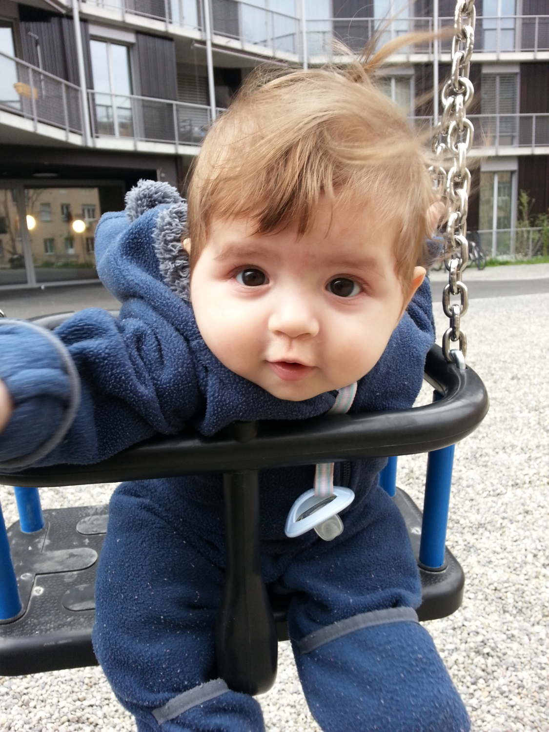Aslan Leone Saiu in Spring 2025, aged six to eight months, image 3 of 8