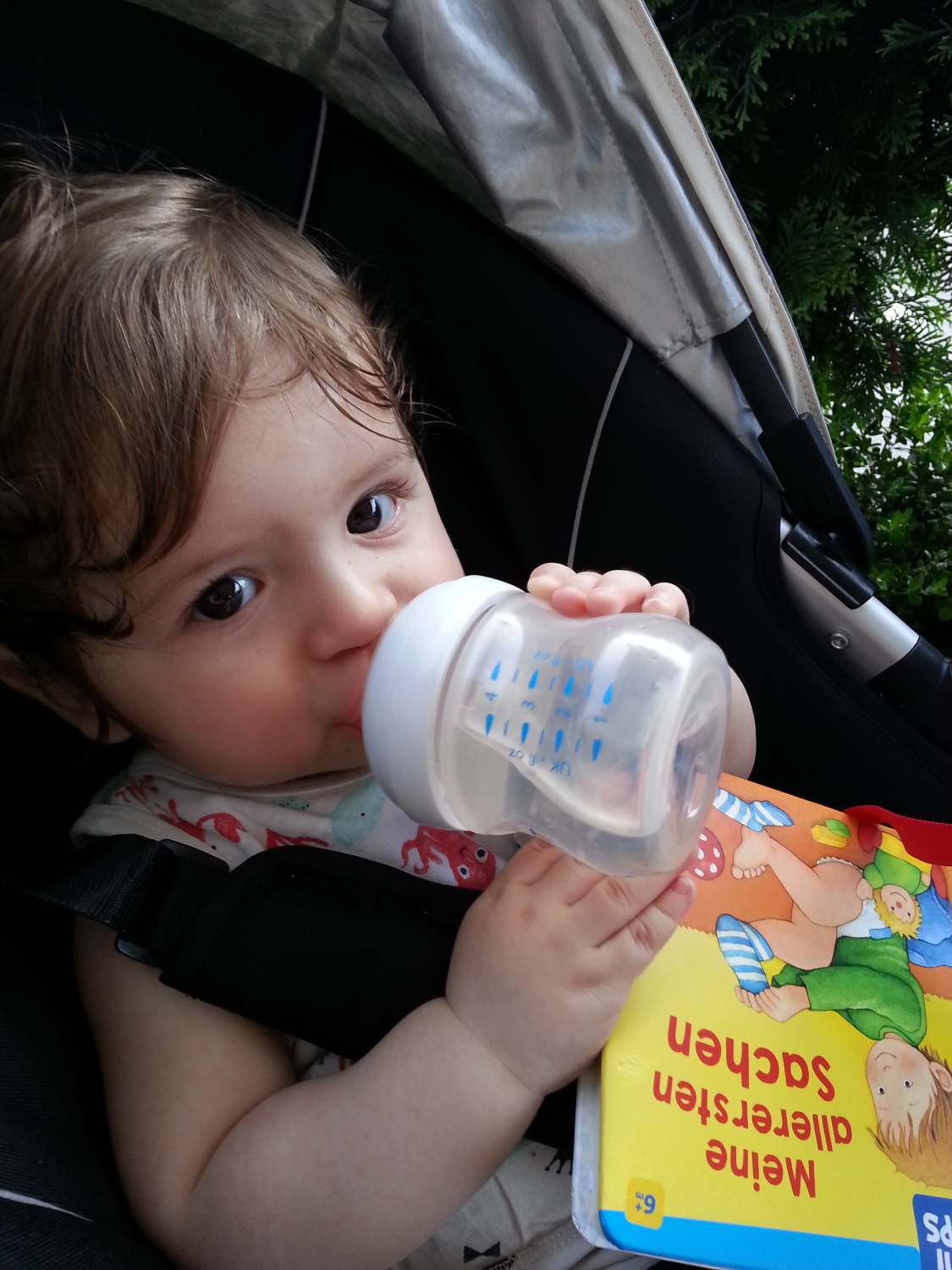 Aslan Leone Saiu in 2025, aged six to nine months, image 7 of 9