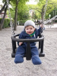 Thumbnail for image 6 of 8