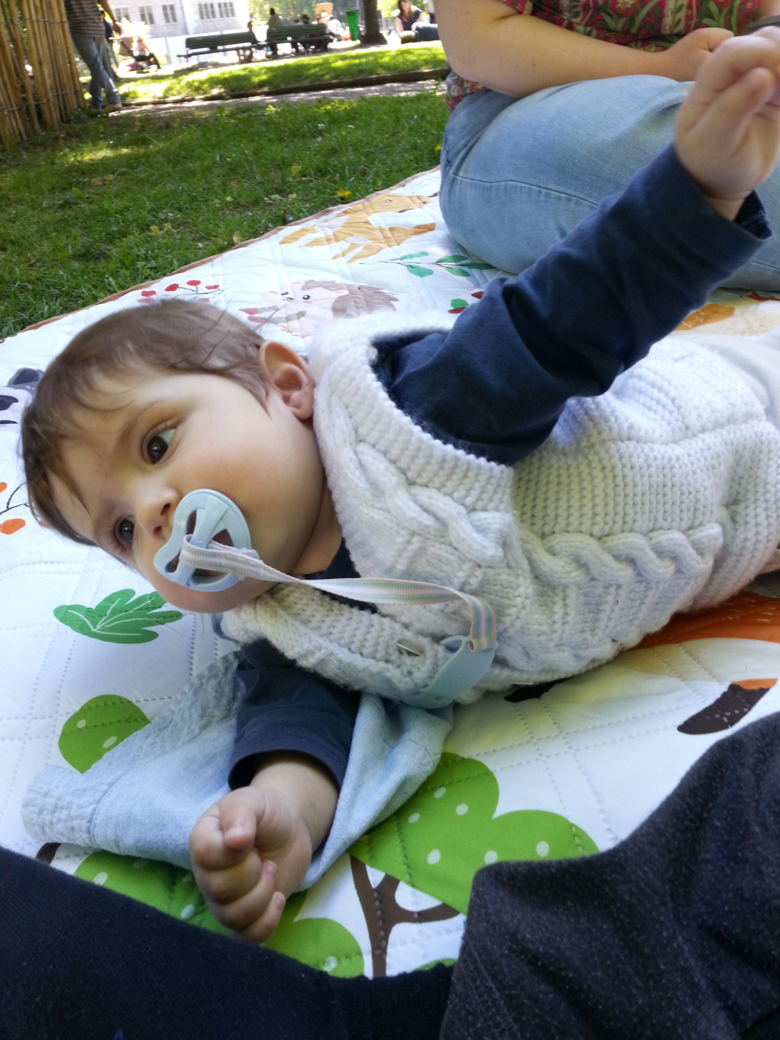 Aslan Leone Saiu in 2025 and 2026, image 4 of 14