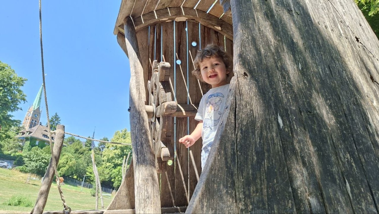 Aslan Leone Saiu in 2025 and 2026, image 17 of 17