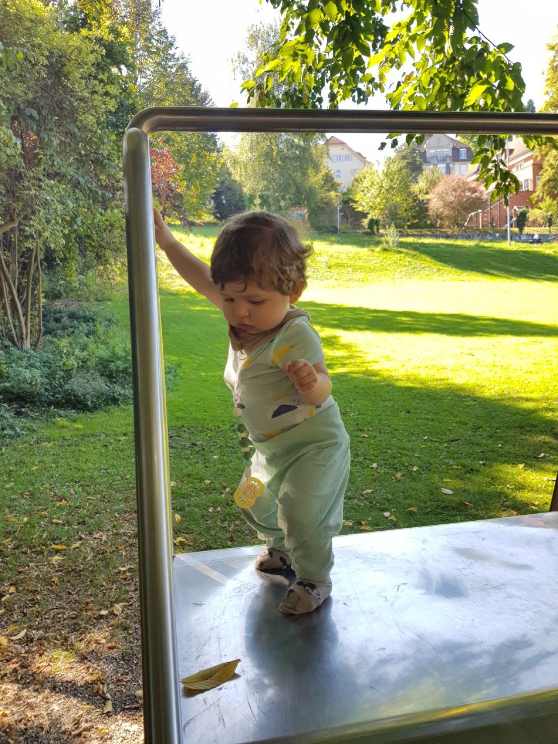 Aslan Leone Saiu in 2025 and 2026, image 9 of 17